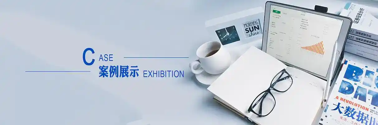 加查县软件开发